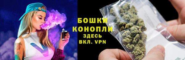 тгк Бородино
