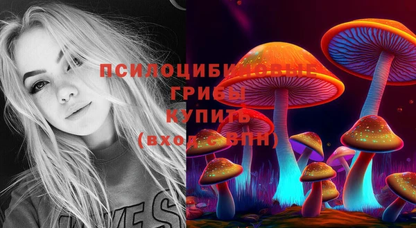 тгк Бородино