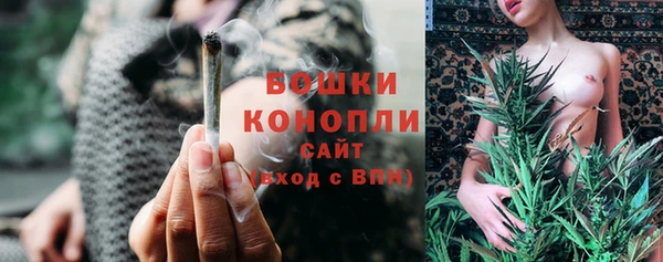 МДПВ Бронницы