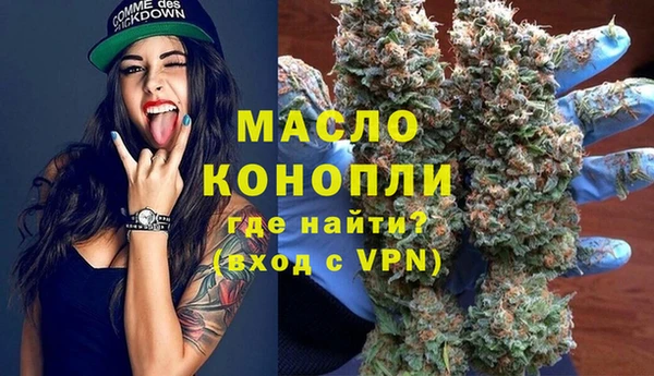 тгк Бородино