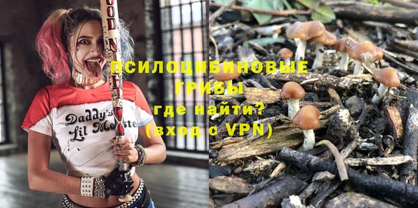 тгк Бородино