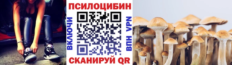 Псилоцибиновые грибы мицелий  купить наркотики сайты  Новоульяновск 
